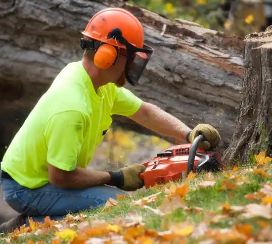 tree services Polson